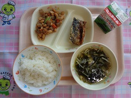 ５月１３日