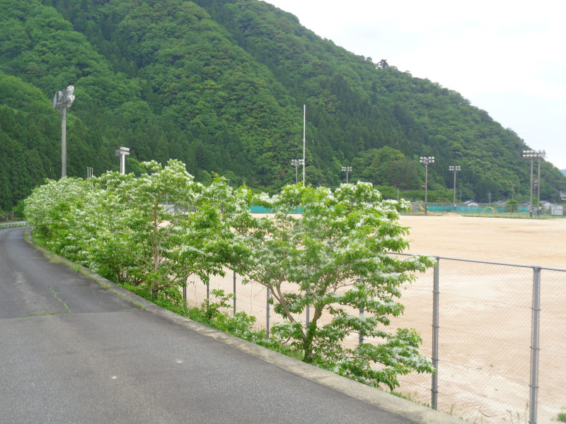 DSC02696