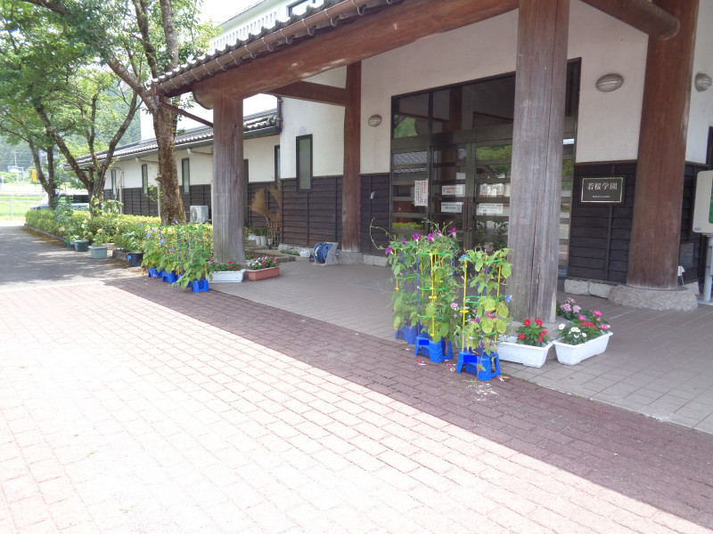 DSC03134