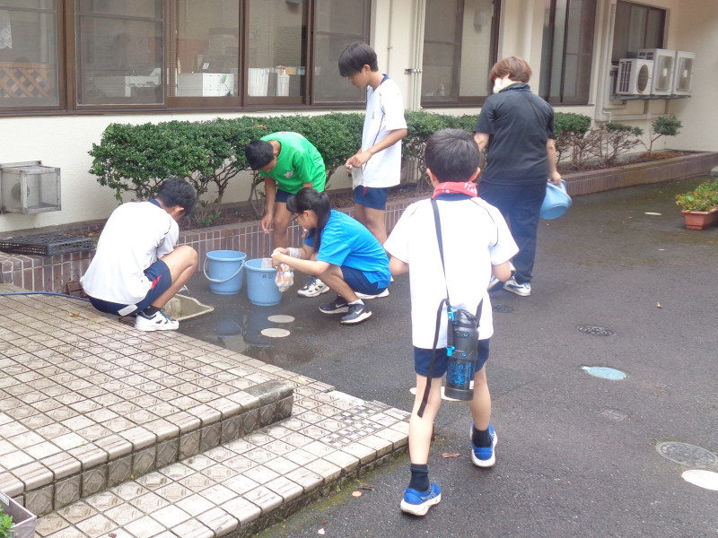 DSC03456 - コピー