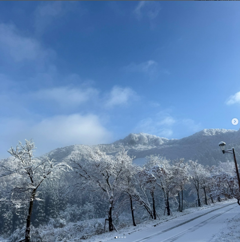 スクリーンショット 2025-11-19 120236