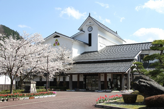 トップページ | 若桜町立若桜学園
