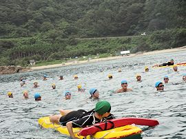 臨海実習2015e