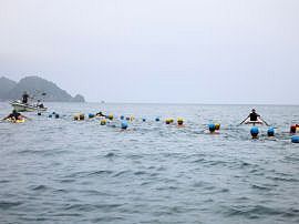 臨海実習2015f