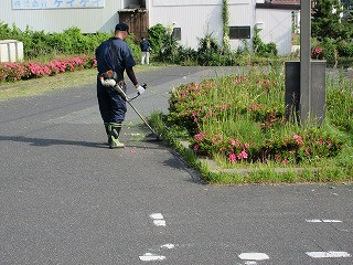 s-IMG_4363