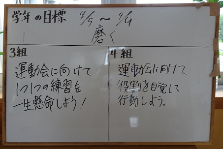 DSC01556