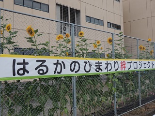 はるか1