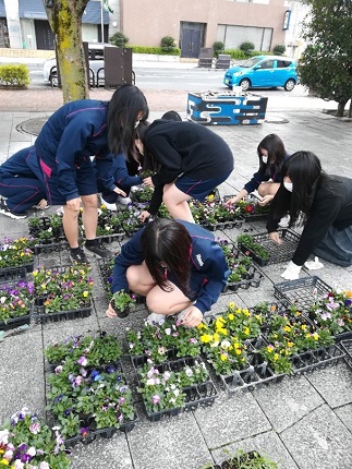 植栽2a