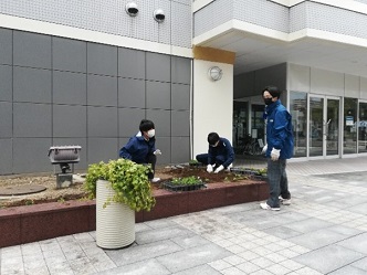 植栽4a