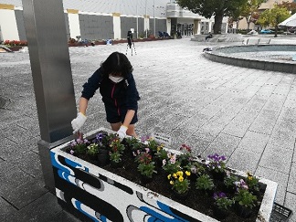 植栽3a
