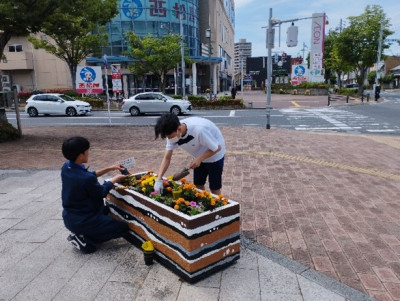 植栽2