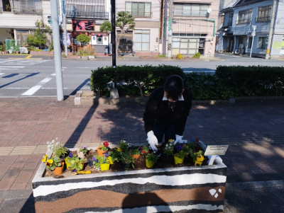 草花3