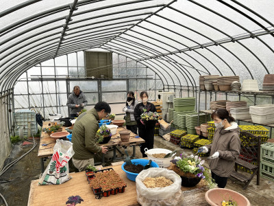 ３．秋冬草花寄せ植え