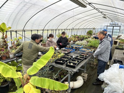 ４．植物選び