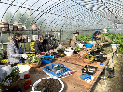 ５．多肉植物寄せ植え