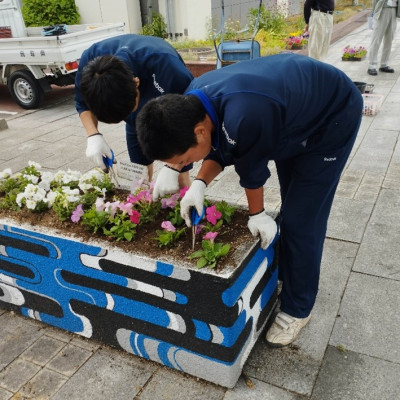 plant4