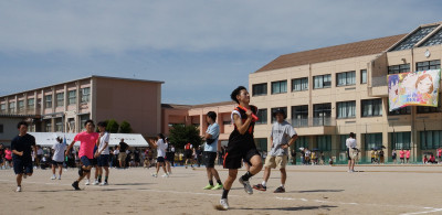 ara3