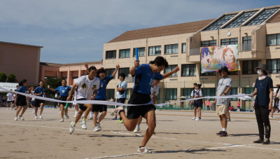 ara4