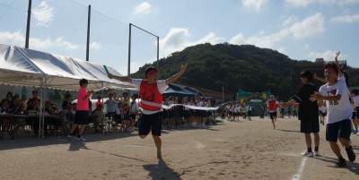 ara8