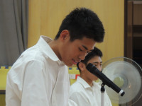 sel6