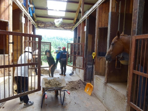 乗馬体験馬小屋掃除