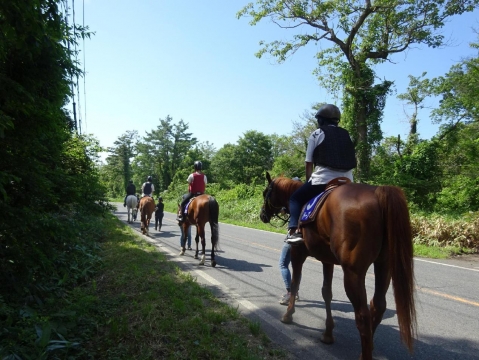 乗馬体験道路を乗馬