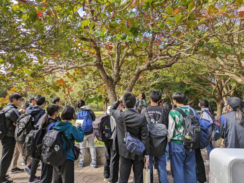 琉球大学