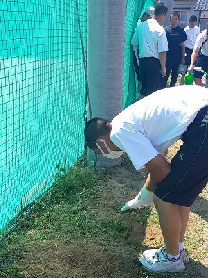 ひまわり種まき１