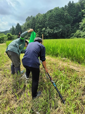 里山観察２