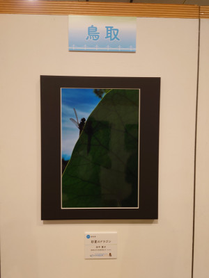 写真部３