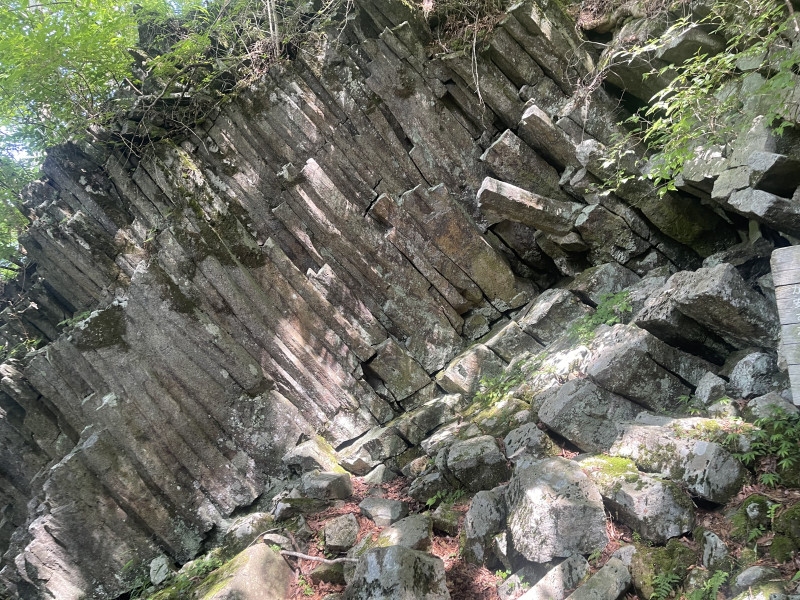 Image_20240731_095514_648