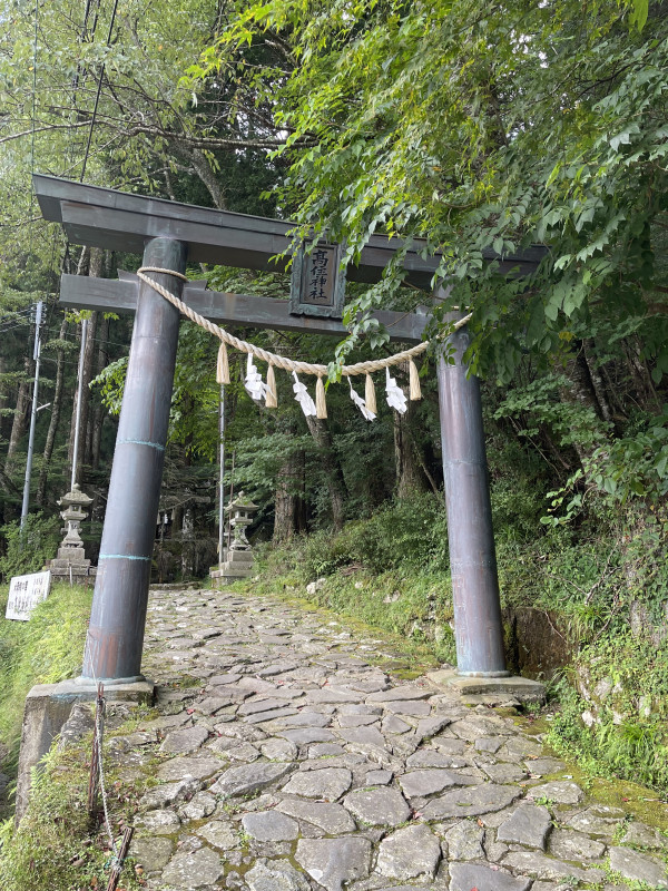 Image_20240731_100844_035
