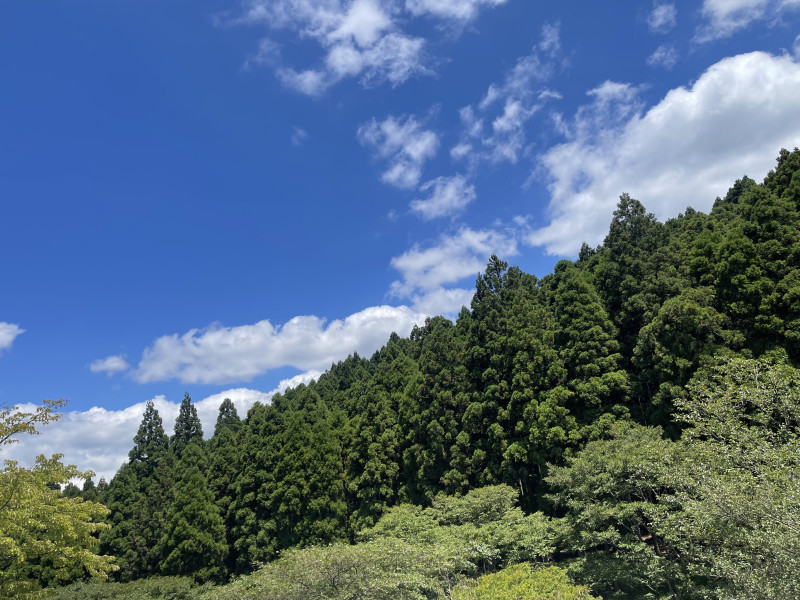 Image_20240802_125410_101