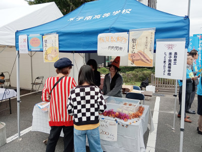 IMG_20251025_112515 (1)