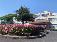 IMG_4116 (1)