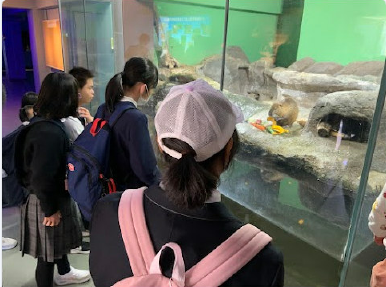 {6EC46A6E-1254-439E-89C1-999331F15C0D}