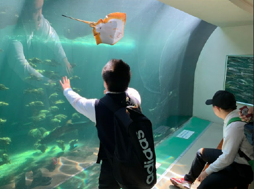 {2798B9B2-86E0-4B81-B549-1D256740CC43}