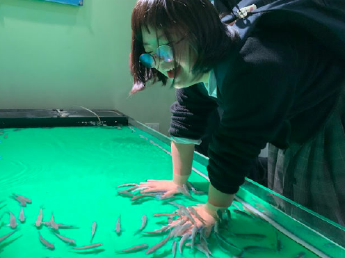 {EC18A28E-61B5-42DD-B0D9-CCB940AE6D3D}