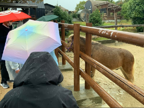 {5A5BA3E4-3C8B-4EE8-A67D-F3D59B19E668}