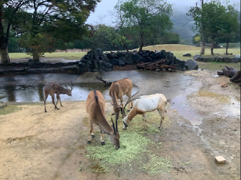 {AA7A710F-B1D1-41D3-AB8E-F79EF32467AA}