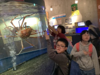 2025年11月5日（15_11）