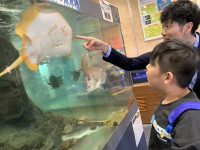 2025年11月5日（15_11）(2)