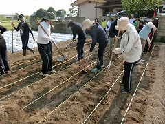 ロープに沿って整えます