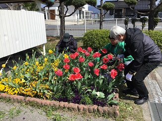 花壇草取り
