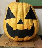 IMG_2926