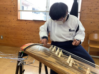 koto3
