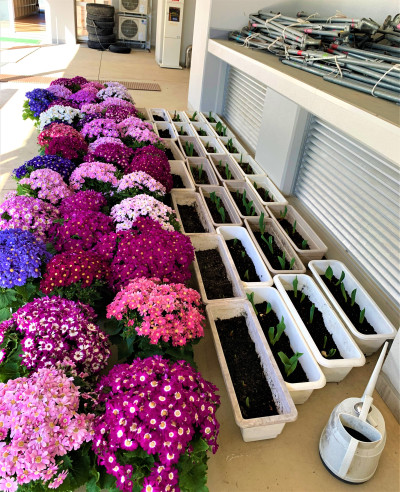 花