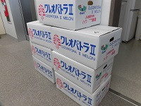 6月5日 (11)