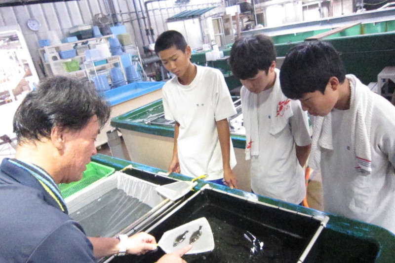 鳥取県栽培漁業センター