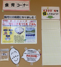 食育掲示お米